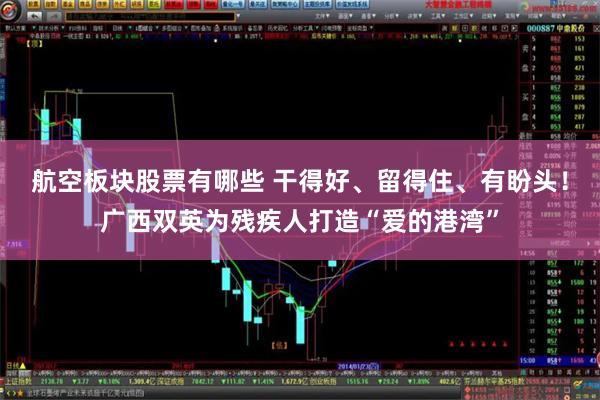 航空板块股票有哪些 干得好、留得住、有盼头！广西双英为残疾人打造“爱的港湾”