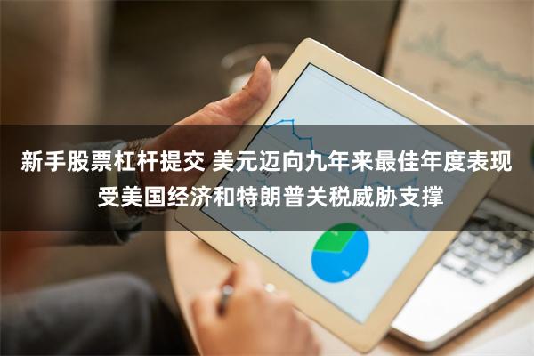 新手股票杠杆提交 美元迈向九年来最佳年度表现 受美国经济和特朗普关税威胁支撑